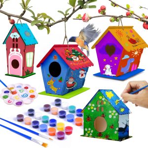 hapray 4 Pack Bird House Crafts
