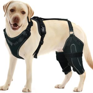 Dog Knee Brace for Torn ACL/CCL